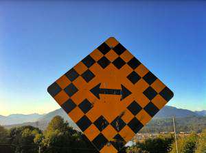 street-sign-do-i-need-multiple-websites